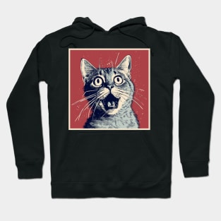 Shocked Cat Cartoon Vintage Cartoon Cat Crazy Hoodie